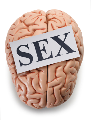 sex-on-the-brain