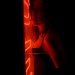 8_TinT thumbnail
